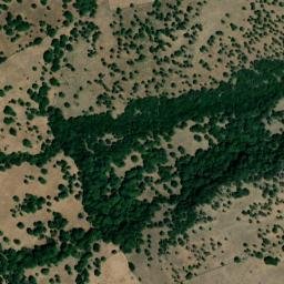 Satellite imagery of survey_point, DZ