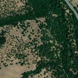 Satellite imagery of survey_point, DZ