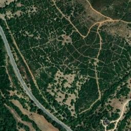 Satellite imagery of survey_point, DZ
