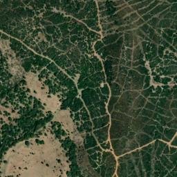 Satellite imagery of survey_point, DZ