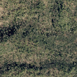 Satellite imagery of Temple Ridge, US