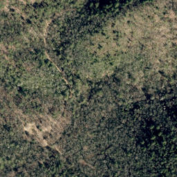 Satellite imagery of Unaka Springs Prospect, US