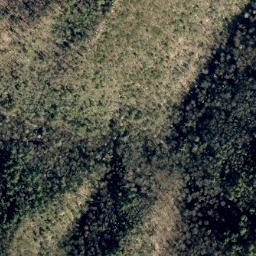 Satellite imagery of Unaka Springs Prospect, US
