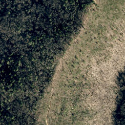 Satellite imagery of Unaka Springs Prospect, US