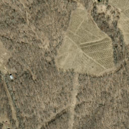 Satellite imagery of Laurel Ridge, US