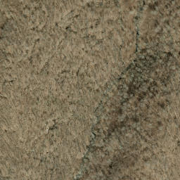 Satellite imagery of Beetree Ridge, US