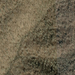Satellite imagery of Beetree Ridge, US