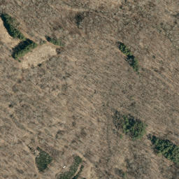 Satellite imagery of Rose Ridge, US