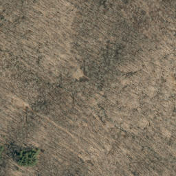 Satellite imagery of Rose Ridge, US