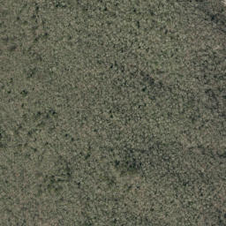 Satellite imagery of Rough Ridge, US