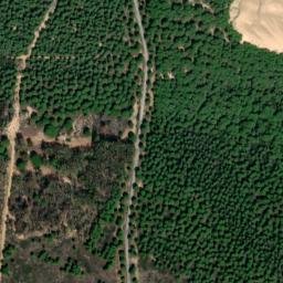 Satellite imagery of survey_point, DZ