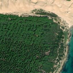 Satellite imagery of survey_point, DZ