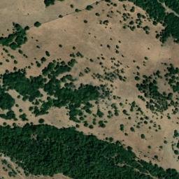 Satellite imagery of survey_point, DZ