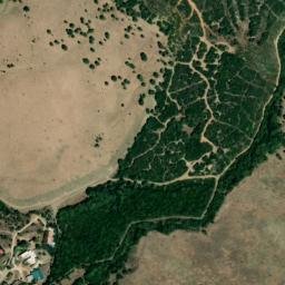 Satellite imagery of survey_point, DZ