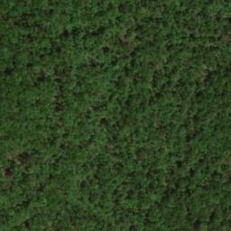 Satellite imagery of Bee Ridge, US