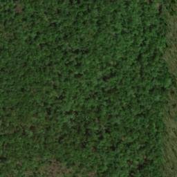 Satellite imagery of Bee Ridge, US