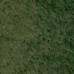 Satellite imagery of Bee Ridge, US