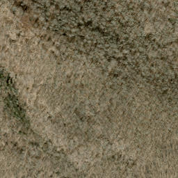 Satellite imagery of Wolf Ridge, US