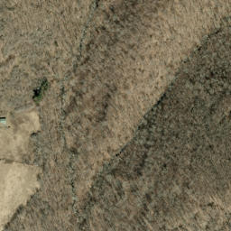 Satellite imagery of Beetree Ridge, US