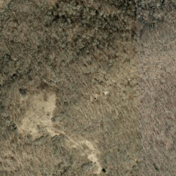 Satellite imagery of Beetree Ridge, US