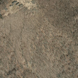Satellite imagery of Beetree Ridge, US