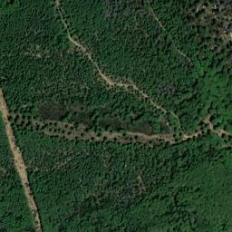 Satellite imagery of survey_point, DZ