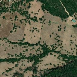Satellite imagery of survey_point, DZ