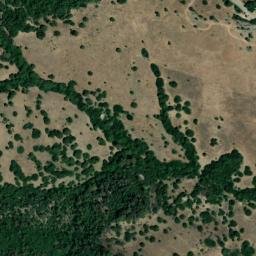 Satellite imagery of survey_point, DZ