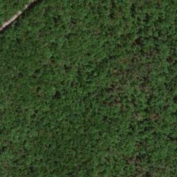 Satellite imagery of Cove Ridge, US