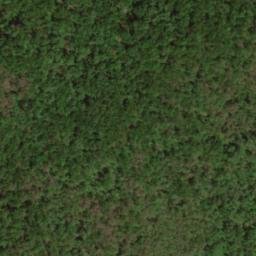 Satellite imagery of Bee Ridge, US