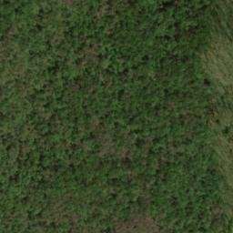 Satellite imagery of Bee Ridge, US