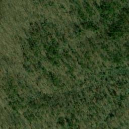Satellite imagery of Bee Ridge, US