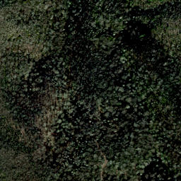 Satellite imagery of Middle Spring Ridge, US