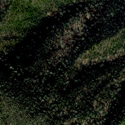 Satellite imagery of Middle Spring Ridge, US