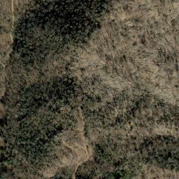 Satellite imagery of Laurel Ridge, US