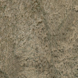 Satellite imagery of Wolf Ridge, US