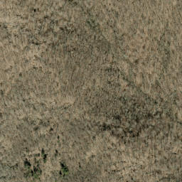 Satellite imagery of Wolf Ridge, US