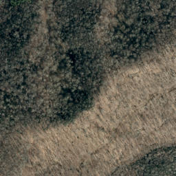 Satellite imagery of Martin Ridge, US