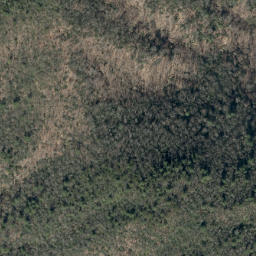 Satellite imagery of Walker Hollow Ridge, US
