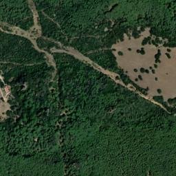 Satellite imagery of survey_point, DZ