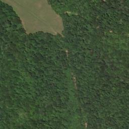 Satellite imagery of Burton Ridge, US