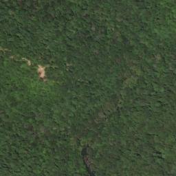 Satellite imagery of Burton Ridge, US