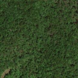 Satellite imagery of Cove Ridge, US