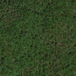 Satellite imagery of Cove Ridge, US
