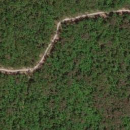 Satellite imagery of Bee Ridge, US