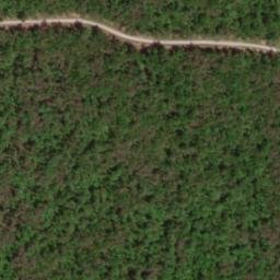 Satellite imagery of Bee Ridge, US