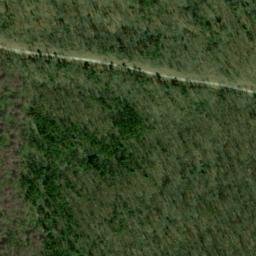 Satellite imagery of Bee Ridge, US