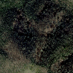 Satellite imagery of Middle Ridge, US