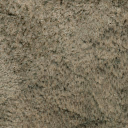 Satellite imagery of Wolf Ridge, US