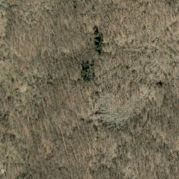 Satellite imagery of Wolf Ridge, US